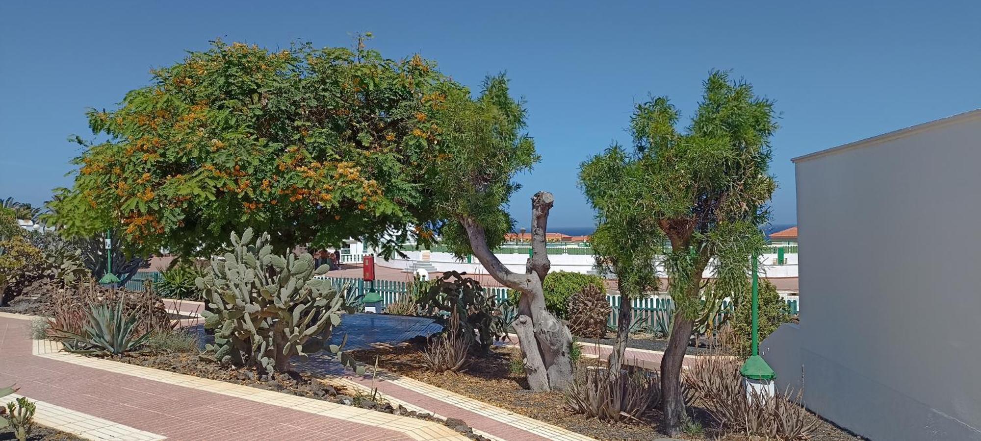 Casa Gioeli Cocosol Villa คอสตา เด อันตีกัว ภายนอก รูปภาพ